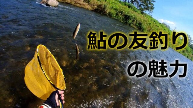 日本古来からの伝統釣法 鮎の友釣り の魅力とは 鮎釣りhack