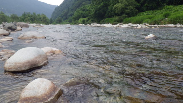 鮎釣りの川
