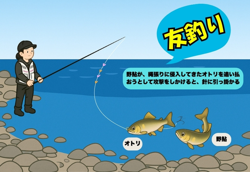 友釣りを説明する図解