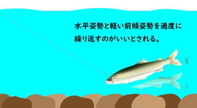 背バリ」とは？種類・メリット・使い方・タイプ別オススメ｜鮎釣りHACK