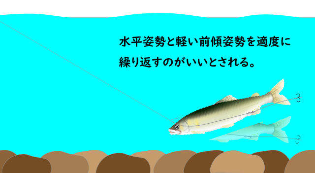 背バリの前傾姿勢の図