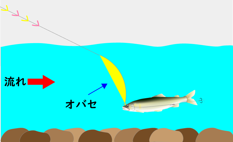 鮎の釣り方 泳がせ釣り とは オバセ ポイント 道具について解説 鮎釣りhack