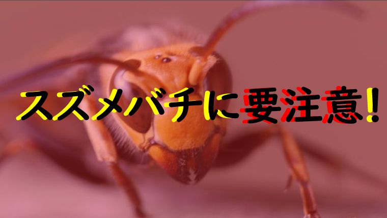 スズメバチに要注意 釣り場での4つの注意点と対処法を解説 鮎釣りhack