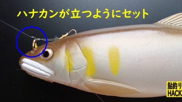 ハナカン角度の画像