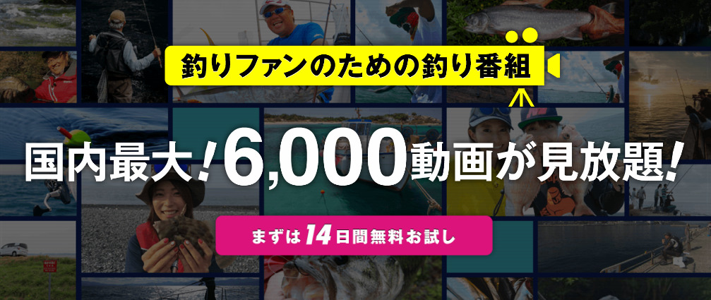 釣りビジョンVOD