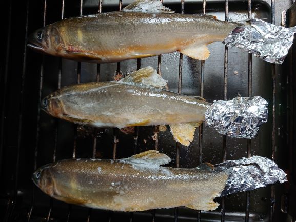 鮎の塩焼きのきれいな食べ方動画 グリルで上手に焼く方法も解説 鮎釣りhack