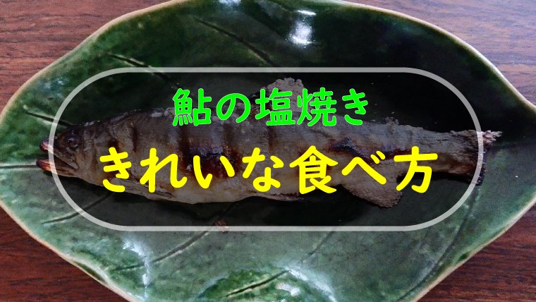 鮎の塩焼きのきれいな食べ方動画。グリルで上手に焼く方法も解説！
