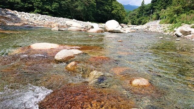 栃木県大芦川の鮎釣り場