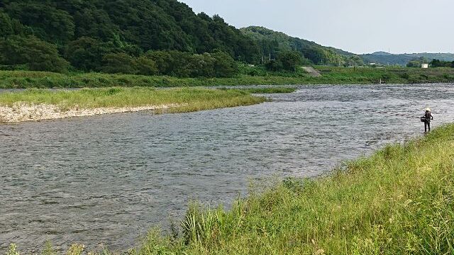 栃木県那珂川小川地区の鮎釣り場