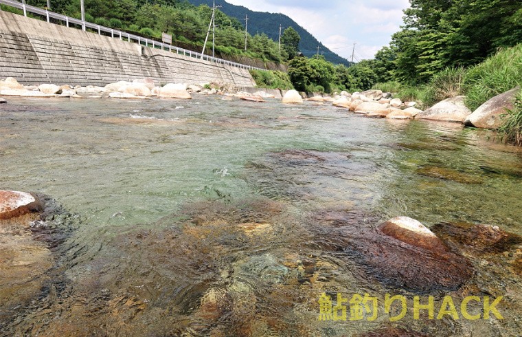 解禁間もない栃木県 大芦川 へ 関東一の清流で鮎釣り 鮎釣りhack