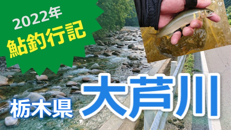 解禁間もない栃木県「大芦川」へ！関東一の清流で鮎釣り