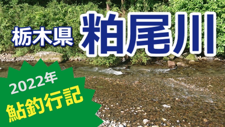 解禁から好調な栃木県「粕尾川」で鮎釣り！