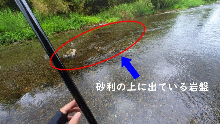 粕尾川の鮎釣り