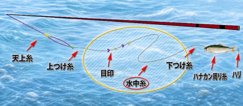 水中糸の位置を説明している図解
