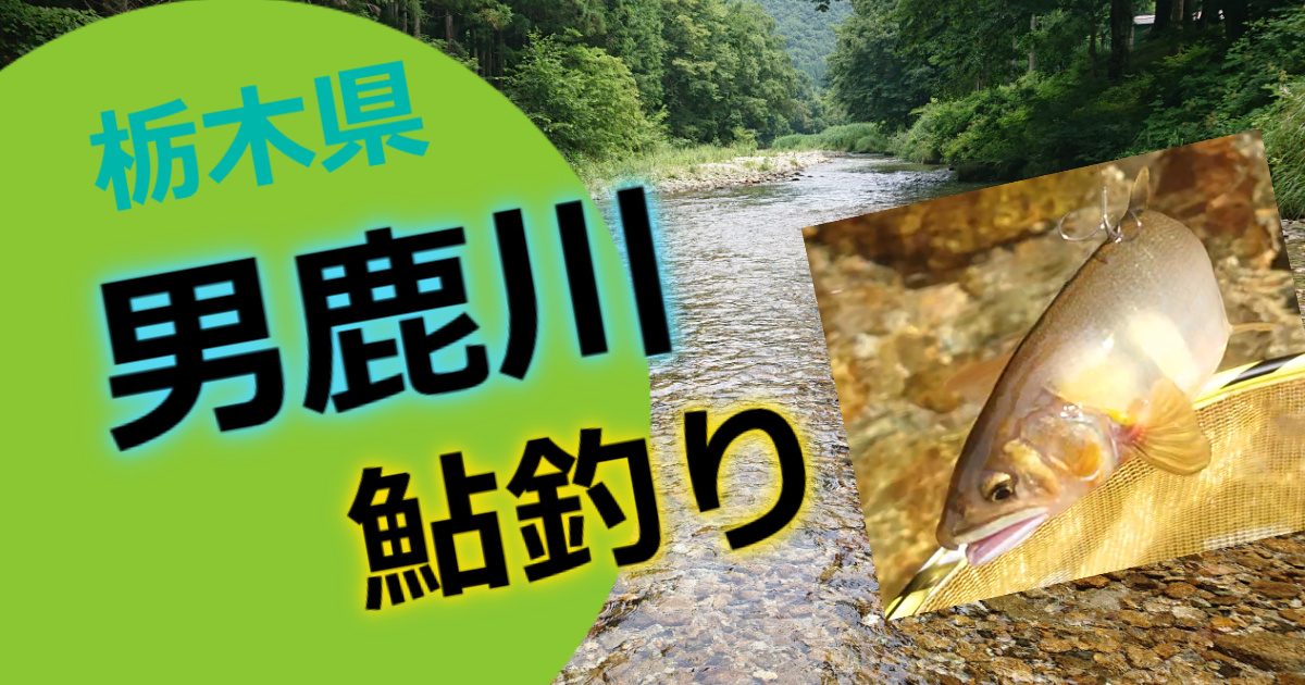 関東随一の清流「男鹿川」で利き鮎準グランプリ鮎を釣る